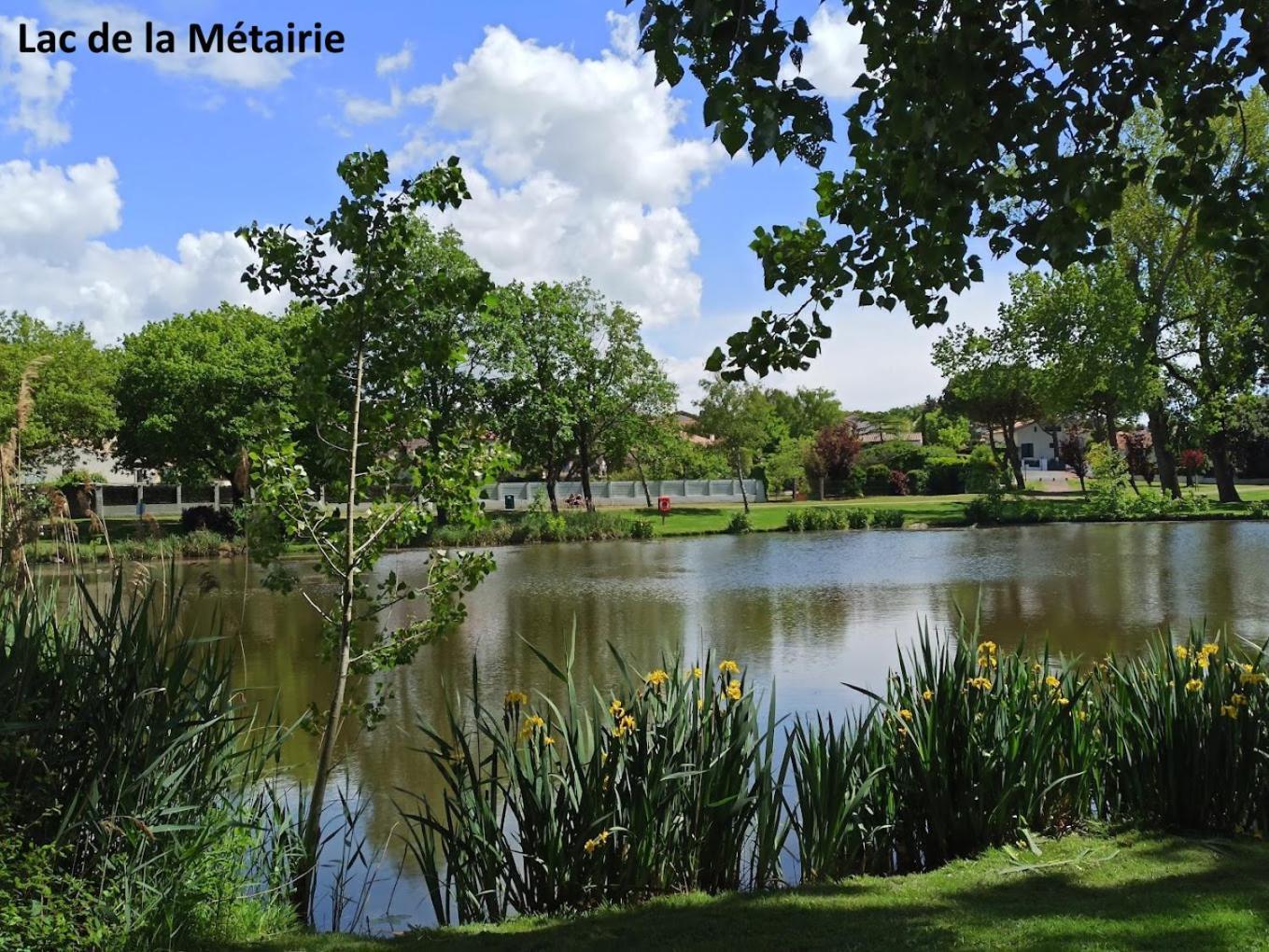 La Vague De Pontaillac 55m2 Apartment *